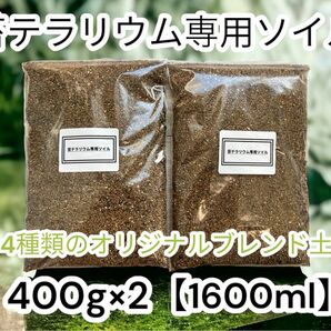 4種類配合 苔テラリウム用 ベース ソイル