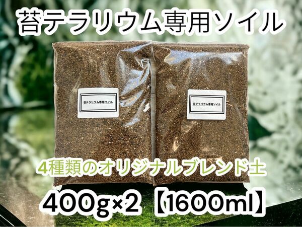 4種類配合 苔テラリウム用 ベース ソイル