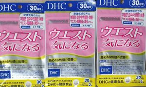 DHC ウエスト気になる　30日分 3袋セット