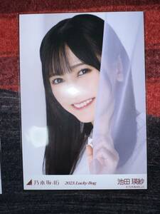 乃木坂46 池田瑛紗 生写真 2023福袋 カレンダー衣装 ヨリ