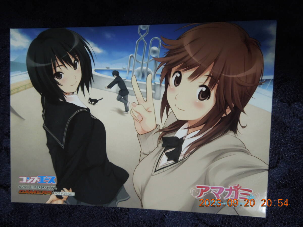 2025年最新】Yahoo!オークション -桜井梨穂子(その他)の中古品