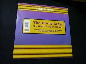 The Horny Crew - R U Ready 4 Some More?／2002／Netherlands／検：オランダ盤 12インチ 12inch Hard House