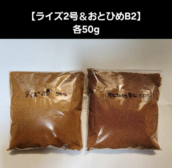 メダカ餌【ライズ2号＆おとひめB2】各50gセット