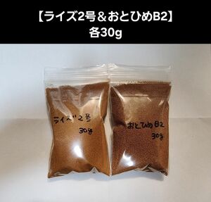 メダカ餌【ライズ2号＆おとひめB2】各30gセット