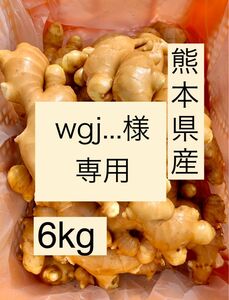 熊本県産　囲い生姜　6kg