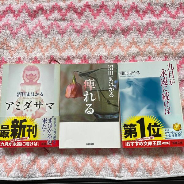 九月が永遠に続けば、痺れる、アミダサマ　沼田まほかる／著