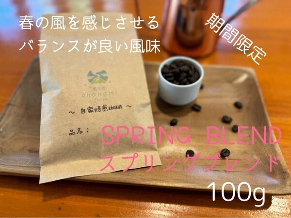 お試し100g SPRING BLENDスプリングブレンド コーヒー豆 コーヒー