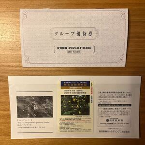 阪急阪神ホールディングス 株主回数乗車証 25回カード グループ優待券 