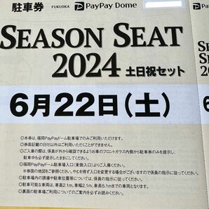 6/22(土)みずほPayPayドーム駐車場 駐車券