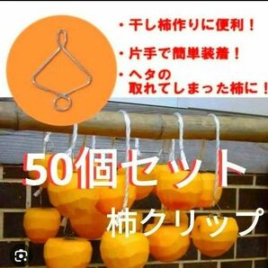 【50個セット】☆毎年使える☆干し柿用 クリップ☆ ヘタが折れた柿 軸なしに