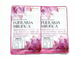 * free shipping * Pueraria millimeter fika approximately 6 months minute (2025.8~ / approximately 3 months minute ×2 sack ) auger Land supplement 