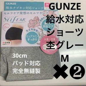GUNZE【給水対応ショーツ】定価1540円×2枚 完全無縫製 杢グレー M
