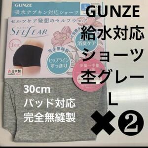 GUNZE【給水対応ショーツ】定価1540円×2枚 完全無縫製 杢グレー Ｌ