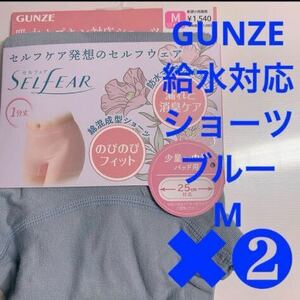 GUNZE【給水対応ショーツ】定価1540円×2枚SET(3080円相当品)【スモークグブルー M】女性のお悩みサポート 幅広い年齢の方へ 残りわずか