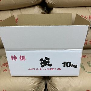 令和5年　滋賀県産　キヌヒカリ　玄米　10kg
