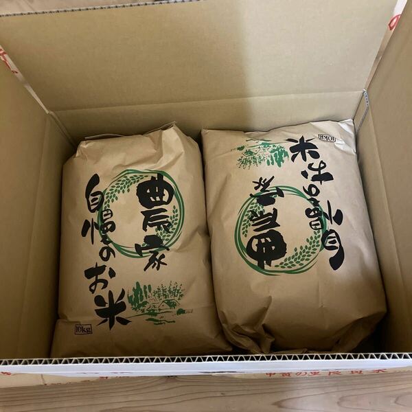 令和5年 滋賀県産　キヌヒカリ　玄米　20kg