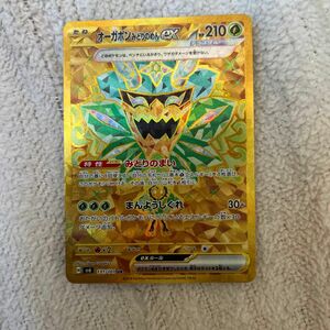 ポケモンカード オーガポンみどりのめんEX UR