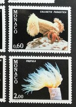 モナコ 1980年発行 イソギンチャク サンゴ 海の生物 切手 未使用 NH_画像7