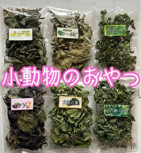 小動物のおやつ☆乾燥野菜 野草 6袋詰め合わせ！ お好きな物を選べます！