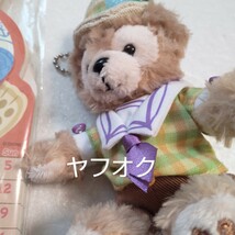 ダッフィー　Duffy 東京ディズニーシー　2014カレンダー　オリジナルスーベニアメダル付き、2015 スプリング限定 ぬいぐるみキーチェーン_画像5