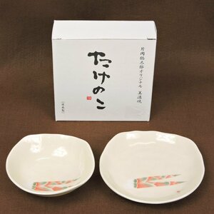 【未使用/保管品】片岡鶴太郎 オリジナル 美濃焼 たけのこ 日本製 2点セット 小皿 中皿 平皿