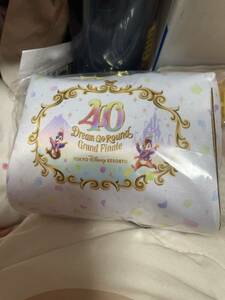 TDR グランドフィナーレ ディズニー 40周年 オフィシャル ポーチ