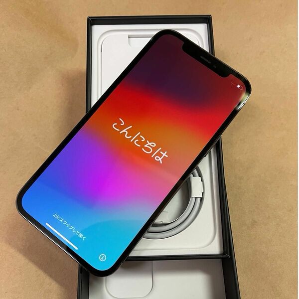 iPhone12 Pro 256GB グラファイト SIMフリー 初期化済み (美品)