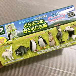 アニアくじ 3 全種セット　どうぶつのおともだち　フィギュア　アニア　動物　ハシビロコウ　ペンギン シークレット　アライグマ 