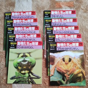 動物たちの地球　No.73〜No82 昆虫編