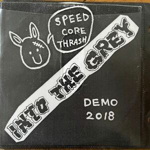 IN TO THE GREY demo2018 heresy ripcord crucial section flash gordon unseen terror electro hippies LARM thrash hardcore punk