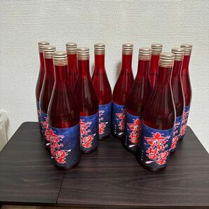 純米吟醸　赤い彗星　日本酒12本セット お酒