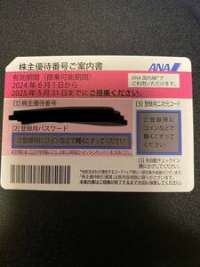 ANA 株主優待 有効期間2024/6/1〜2025/5/31