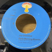 JOY UNLIMITED / EARLY MORNING MOANIN (GERMAN ORIGINAL)_画像3