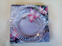 ガラスプレート　ガラス皿　魚型プレート　刺身皿　盛皿　SOGAGLASS　ソガガラス　同梱可能_画像2