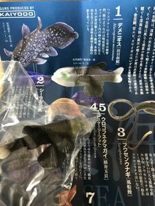 深海生物 フィギュア 単品 デメニギス 海洋堂 生物図録 古代魚 ガチャ カプセル 深海魚