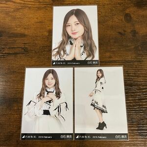 乃木坂46 白石麻衣 2019 February 生写真 コンプ 