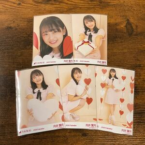 乃木坂46 向井葉月 2020 Valentine 生写真 コンプ 