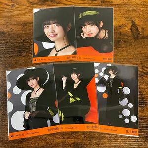 乃木坂46 金川紗耶 2019 Halloween 生写真 コンプ 