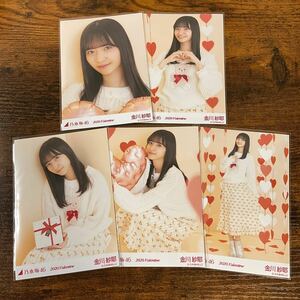 乃木坂46 金川紗耶 2020 Valentine 生写真 コンプ 