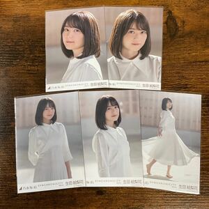 乃木坂46 生田絵梨花 シンクロニシティ 生写真 コンプ 