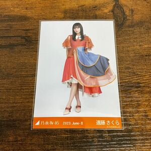 乃木坂46 遠藤さくら 2023 June 生写真 