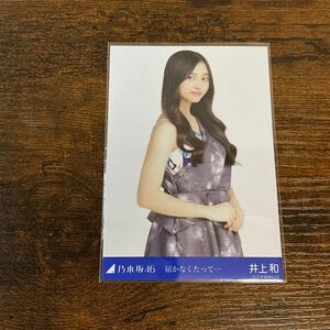 乃木坂46 井上和 届かなくたって… 生写真 