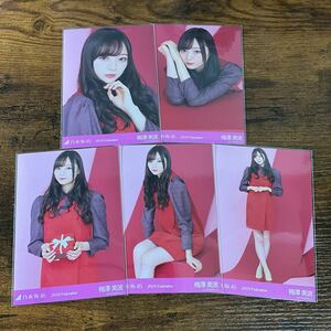 乃木坂46 梅澤美波 2019 Valentine 生写真 コンプ 