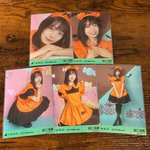 乃木坂46 阪口珠美 2022 Halloween 生写真 コンプ 