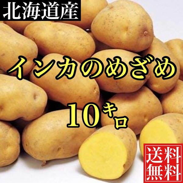 北海道産　幻のじゃがいも　インカのめざめ　約10キロ弱　送料無料