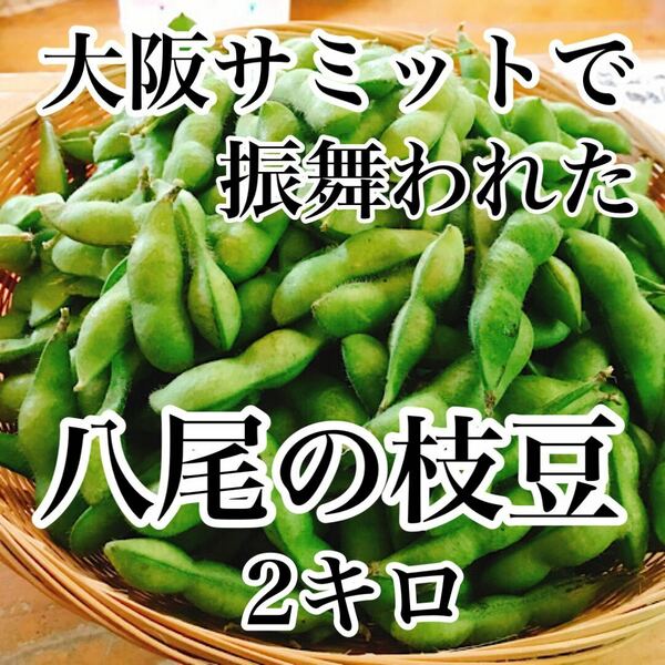 今しか食べられない！大阪八尾の枝豆 秀品　箱込み2キロ弱　送料無料