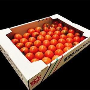 高知県産 夜須のフルーツトマト 12玉から20玉前後 コンパクトボックス送料無料の画像2