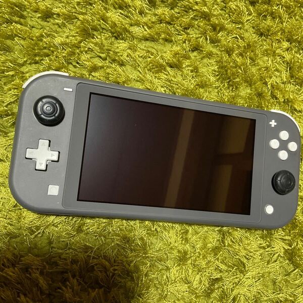  Nintendo switch Lite ニンテンドースイッチライト 本体