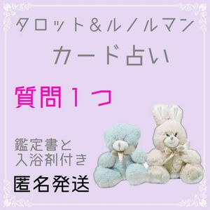 質問1つ タロット＆ルノルマンカード占い リーディング/鑑定