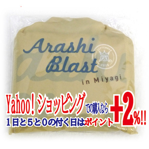 ★嵐/ARASHI BLAST in Miyagi/レインポンチョ◆新品Ss（ゆうパケット対応）